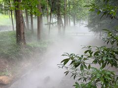 -东明山森林公园