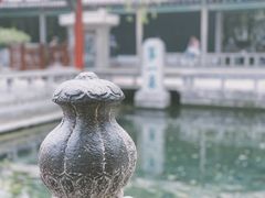 -趵突泉景区