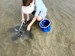 -北海金海湾红树林生态旅游区