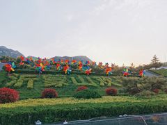 -沂蒙山旅游区云蒙景区(蒙山国家森林公园)