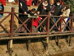 -武汉紫薇都市田园