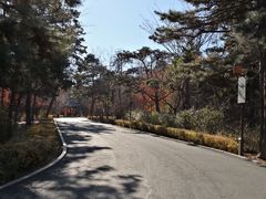 -长春市南湖公园