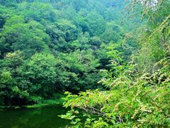 -国家植物园南园