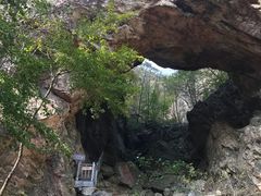 -大连天门山国家森林公园