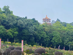 -紫马岭公园
