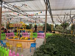 -南宫五洲植物乐园