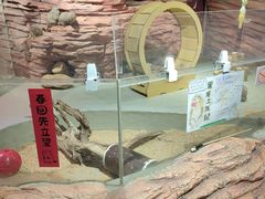 -正佳雨林生态植物园