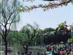 -黄兴公园