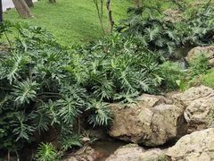 -桃花涧