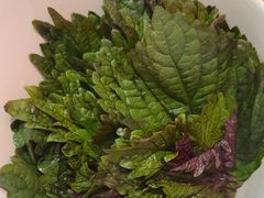 -揽月斋炙子烤肉·清真(安定门·五道营店)