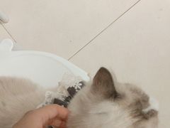 -怪兽屋·羊驼·猫咖·狗咖(俊华广场店)