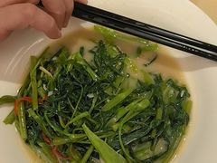-锦粤宫·精致粤菜(深圳北站店)