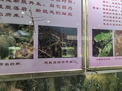 -上海昆虫博物馆