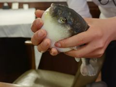 -肆月河豚·新淮扬(金融街店)