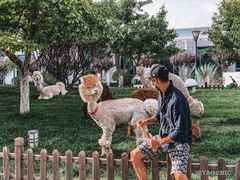-东方时尚驾校摩托车考试场(东方时尚驾校西区店)