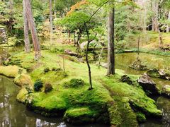 -西芳寺(苔寺)