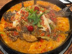 -老板恋上鱼(恒隆广场店)