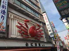 -蟹道乐(道顿堀本店)