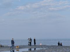 -南汇嘴观海公园