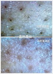 -归真美学颜究中心