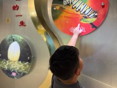 -上海昆虫博物馆