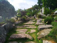 -东莞植物园