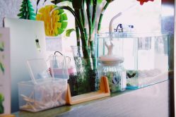 -AFA Hair studio·女士发型设计