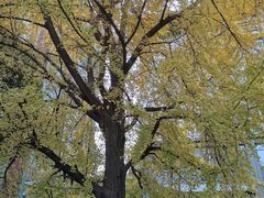 -四川大学(华西校区)