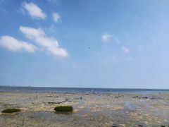 -北海金海湾红树林生态旅游区