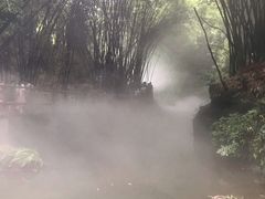 -川西竹海景区