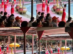 -西双版纳勐泐文化旅游区