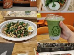 -油梨树 AVOCADO TREE(亮马桥店)