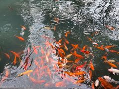 -兰溪地下长河