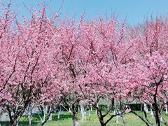 -白塘生态植物园
