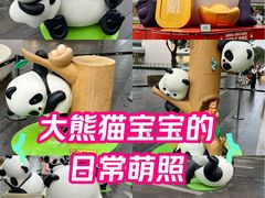 -东莞松山湖万象汇