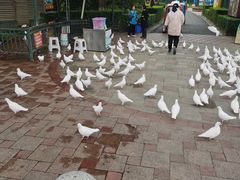 -国色天乡三期陆地乐园