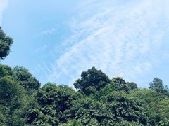 -火炉山森林公园