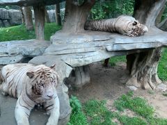 -北京野生动物园