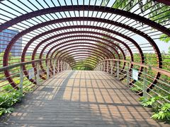 -南翔镇银翔湖公园