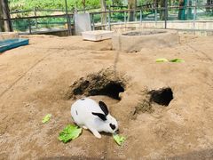 -前小桔亲子创意农场·草莓采摘·露营烧烤