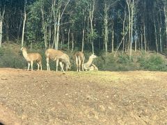 -杭州野生动物世界