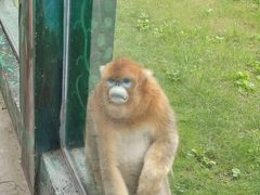 -西安秦岭野生动物园