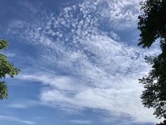 -映月湖中央公园