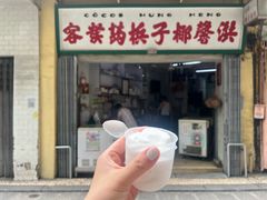 -洪馨椰子