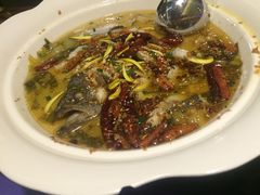 -赫帝拉航空主题餐厅(南宁店)