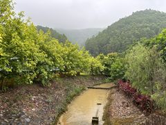 -十万大山布透温泉
