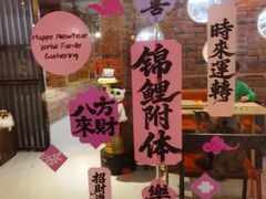 -豆逗聊愈猫阁Easy Life