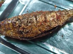 -玉园烧烤·海鲜辣炒