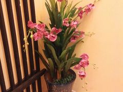 android_upload_pic-湖庭壹品鸭王·传统北京烤鸭·别墅私房菜·庭院宵夜(江宁店)