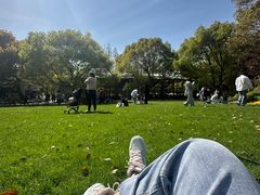 -上海共青森林公园